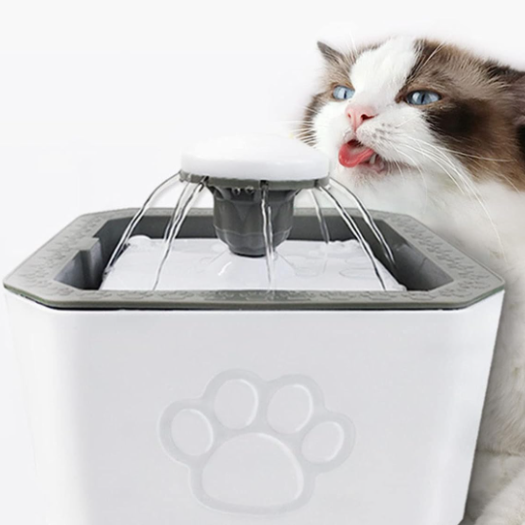 Fuente Dispensadora de Agua para Mascotas