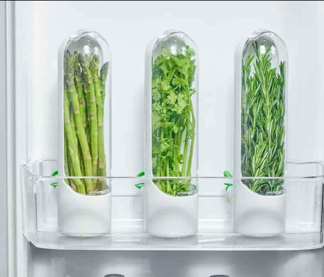Conservador de Vegetales/Hierbas